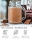 PhD Nutrition Diet Plant Protein Pulver Vegan 500g Belgische Schokolade, High Protein Eiweißpulver mit 19g Eiweiß pro Portion, Mit CLA und L-Carnitin