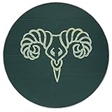 Elder Scrolls Skyrim Markarth Shield Reach Replica Wooden 23 Inches Aluminum Rim Green Wall Hanger