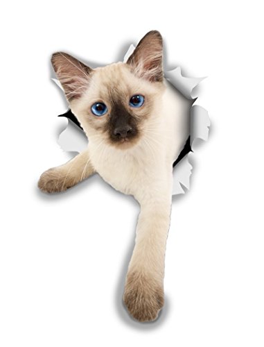 Winston & Bear 3D Cat Stickers - 2 Pack - Siamese Kitten Cat Decals for Wall - Stickers for Bedroom - Fridge - Toilet - Room - Retail Packaged