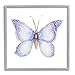 Stupell Industries Lovely Purple Butterfly Wings Animal Insect Painting, Design by Janice Gaynor