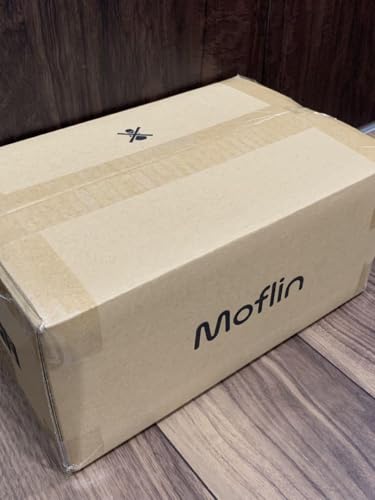 カシオ Moflin ゴールドサムネイル3