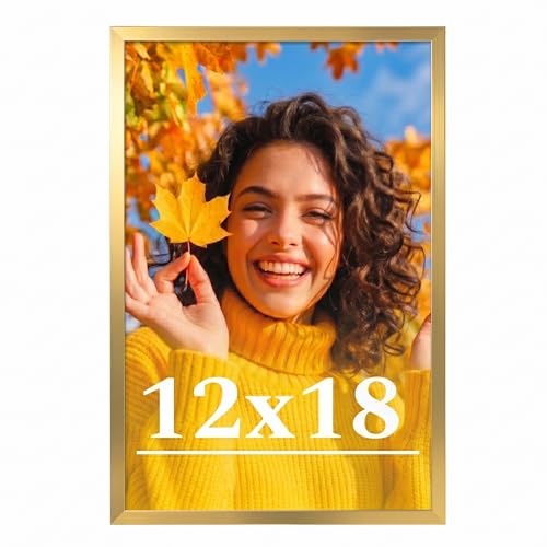 Veleclo 12x18 Picture Frame for Wall Display 12x18 Gold Picture Frame with Shatter Resistant Plexiglass Stable and Sturdy 12 x 18 Poster Frame for Wall Display Handpicked Gift Collection 1 Pack