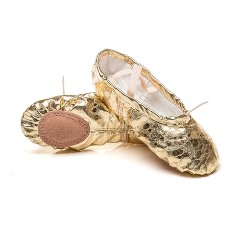 MSMAX Costume Footwear Soft Ballerina Shoes for Women Party Flats Gold 8.5 M US Women