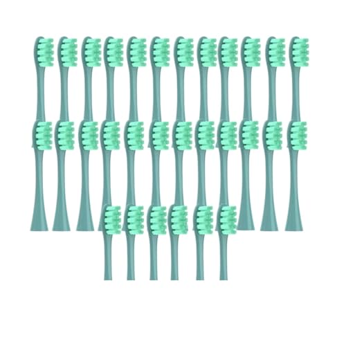 30 �̃u���V�AX/X PRO/ Z1/ F1/ One/Air 2 /SE �����p�w�b�h���u���V�m�Y���ƌ݊�������(30Green)