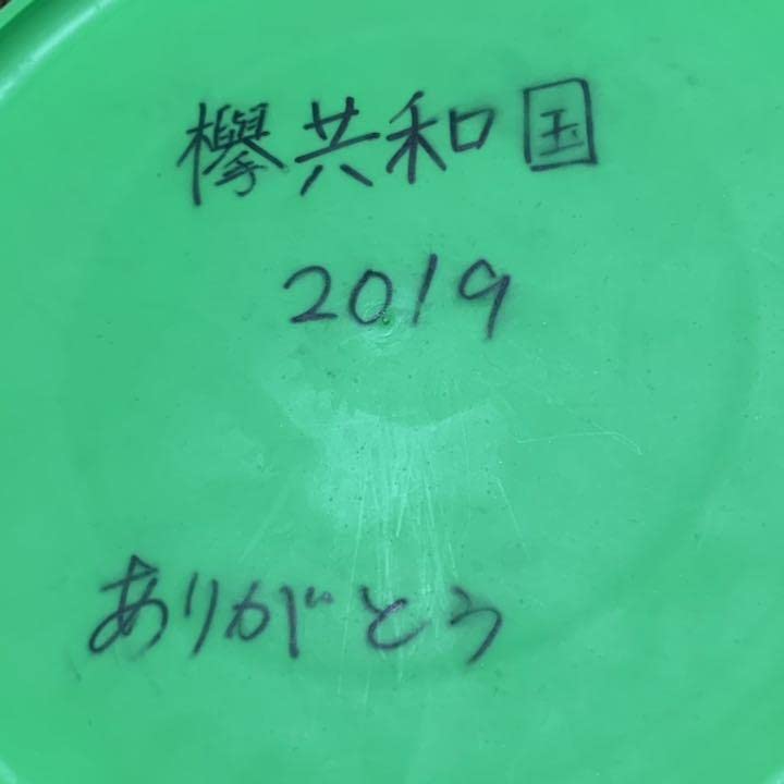 Amazon.co.jp: 山﨑天 欅共和国2019 直筆サイン入りフリスビー 