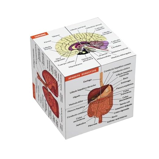 Cubo de Estudio de Anatomía Humana EN ESPAÑOL | Estudia 9 partes del cuerpo humano | Cubo Modelo de Anatomía | Excelente regalo para enfermeras y estudiantes de medicina