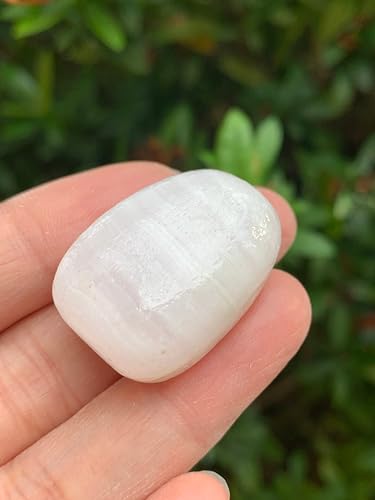 Image of GAF TREASURES 1 /2 LB Pink Calcite Tumbled Stones, Polished Natural Pink Calcite Gemstone, Pink Calcite Healing Crystals (Pink Calcite)