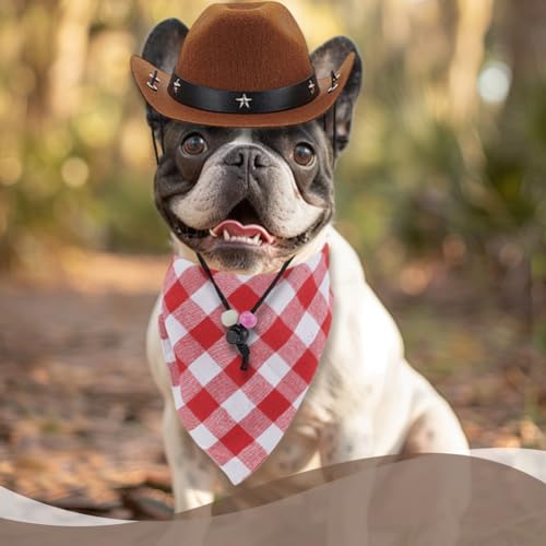 Set 3 Accesorios Disfraz Vaquero para Mascotas miniatura 5