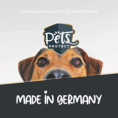 Pets Protect SUPERFOOD Kauknochen für Hunde 12cm | Kauknochen Mix | 5 einzigartige nährstoffreiche Kauknochen Kaustangen Hund für Groß & Klein | Made in Germany | getreidefrei | Kauleckerli