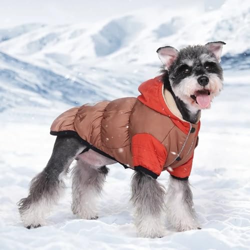 Chien veste à capuche imperméable doublée polaire pour l'hiver bleu L - 5