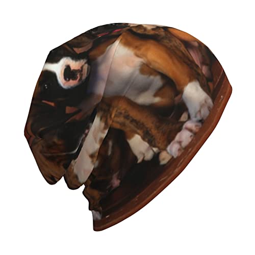 Puppies Dogs Pets Animals Beanie Hat Fashion Knit Hat Soft Stretch Slouchy Hip-Hop Sleep Cap For Women Men Black #TOP2