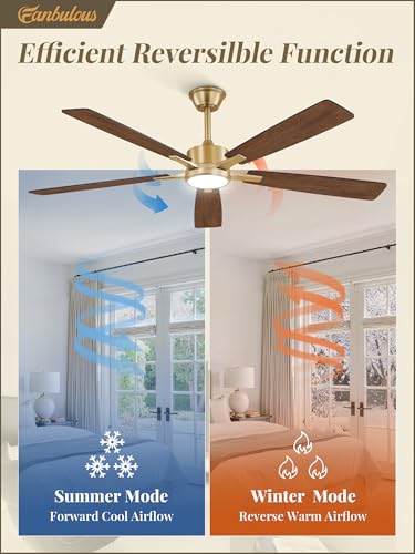 Image of Fanbulous 60 Inch Black and Gold Ceiling Fans with Lights and Remote, Stepless Color Temperature Change & Dimmable 20W LED Ceiling Fan, 6 Speeds Reversible Quiet DC Motor for Bedroom, Living Room