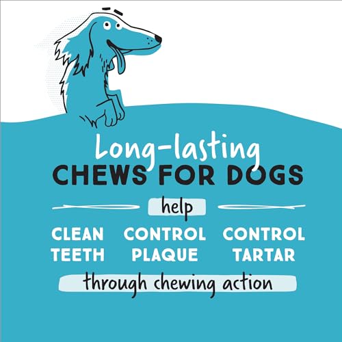 Ultra Chewy Bacon and Cheese Double Treat Bones, 6 Count - image 2