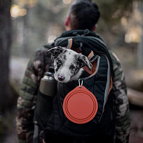 Cooyoo Collapsible Dog Bowls 700Ml,2 Pack Portable Collapsible Dog Water Bowls For Cats Dogs,Pet Foldable Feeding Watering Dish For Traveling Camping Walking With 2 Carabiners #TOP2