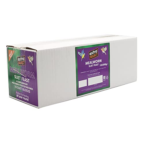 Extra Select Wild Bird High Energy Mealworm Suet Blocks 10x300gm – Wildlife News Shop - Vimarsana News