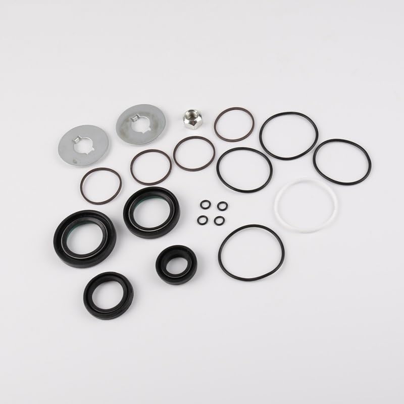 Reparar fugas cremallera dirección asistida Mitsubishi Montero MK3 MK4