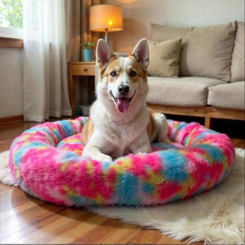 Image of ZEXSAZONE Summer Comfortable Durable Both Sides Usable & Washable Pet Bed | Cat Bed | Puppy Bed | Dog Bed | Medium Dog Bed for Cats & Puppies (Rainbow, Medium 70 x 70 x 15 cm)