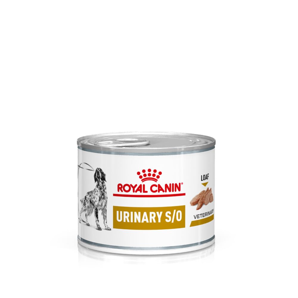 Royal Canin Veterinary Urinary S/O Mousse | 12 x 200 g | Diät-Alleinfuttermittel für Hunde | Kann zur Auflösung von Struvitsteinen beitragen | Harnverdünnende Eigenschaften