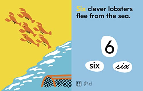 One Brown Bear: The World of Numbers - image 5