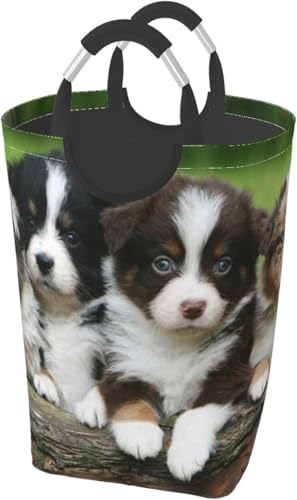 I[XgAVFp[h̎q ꂽ̂ ꂽ ܂肽 [h[{bNX ܂ݎ[{bNX ĕt ی^ LN^[ 킢 ~^