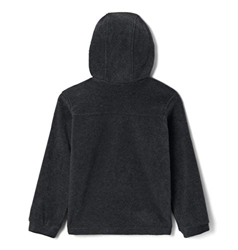 Image of Columbia Kids Steens Ii Fleece Hoodie (little Kid /Big Kid)