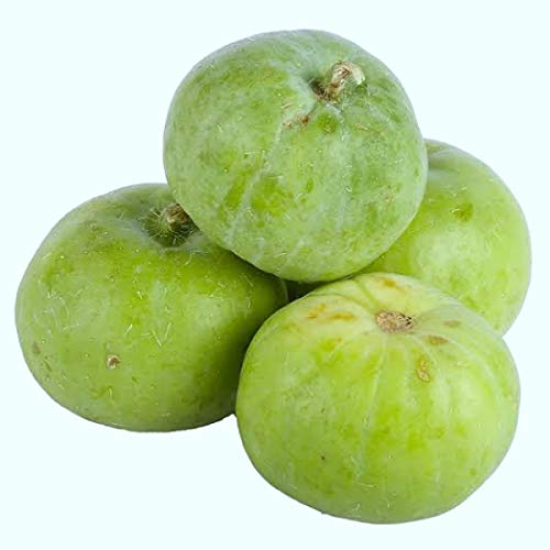 NurseryServe Organic Desi Tinda Seeds - (35 Seeds) (B084HGLRJV) Amazon Price History, Amazon Price Tracker