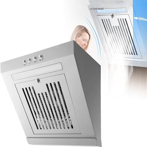 Campana extra-ctora de acero inoxidable pequeña de 230 W con aspiración lateral y LED - Extra-ctor de pared de 400 mm/600 mm - 17 m³/min - Campanas extra-ctoras de cocina,600mm
