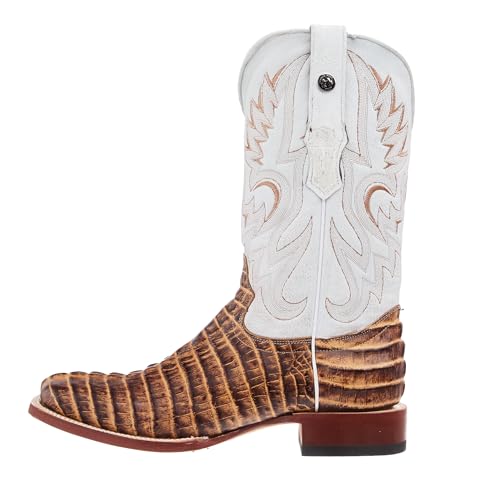 Men`s Orix Brown Caiman Tail Print 13in Montana Ice Top Boot2
