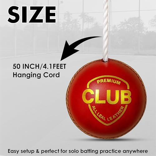 Protoner Cricket Practice Hanging Ball with Rope, Leather Training Ball, Red 2
