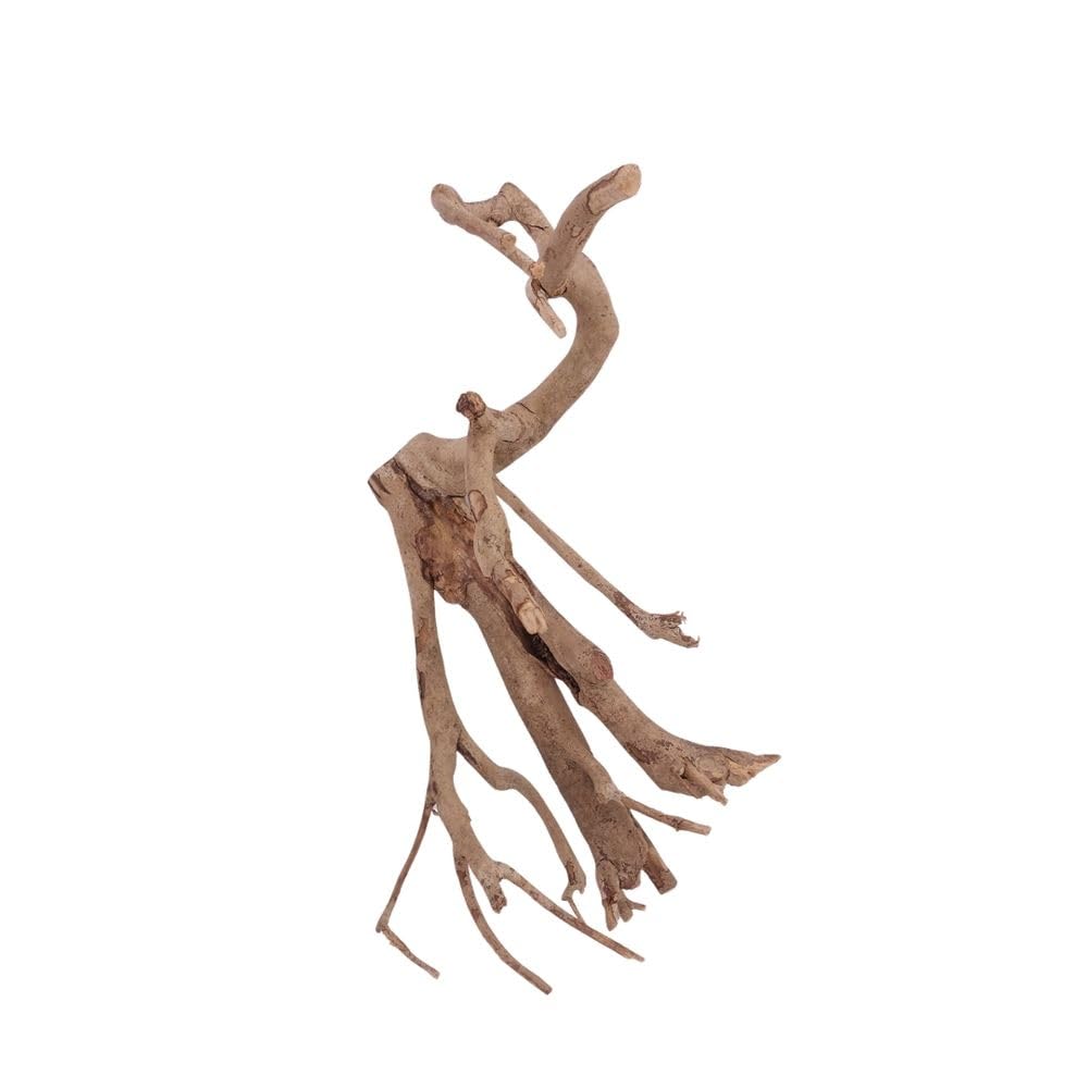 AquaOne L radice di talawa n. 2319 - Decorazione per acquario, radice in legno, decorazione per acquario, paesaggio, mangrove, muschio, naturale, vero legno