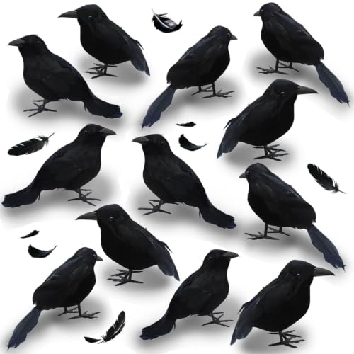 Heyigrow 12 Pcs Realistic Black Crows Small Size Birds Ravens Feathered Stuffed Animals Halloween Decorations Gothic Props for Party Indoor Outdoor