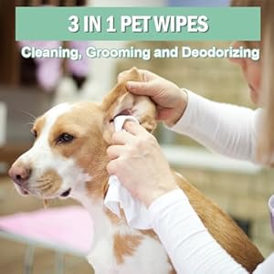 Air-Jungles-3in1-Pet-Wipes-for-Dogs-and-Cats-100-Count-8-x-10-Extra-Large-Hypoallergenic-Cleaning-Grooming-Deodorizing-Wipes-for-Pets-Paws-Body-Face-Ear-Butt - Cucciolini Doodles   Air-Jungles-3in1-Pet-Wipes-for-Dogs-and-Cats-100-Count-8-x-10-Extra-Large-Hypoallergenic-Cleaning-Grooming-Deodorizing-Wipes-for-Pets-Paws-Body-Face-Ear-Butt
