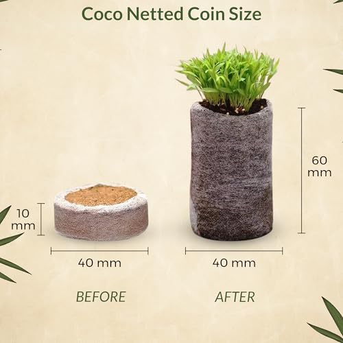 Image of GiftOneTree Cocopeat Netted Pellets for Hydroponics, Seedling and for Plants | Netted | Round 40mm X 10mm (Netted, Pack of 20)