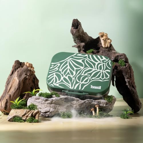 Image of Basil Bento Box Quad - 4 Compartment Stainless Steel Lunch Box with BPA-Free Plastic Lid | 800 ml Leak-Proof Tiffin Box for Kids & Adults | Premium School, Office, and Picnic Lunch Box - Emerald Moss