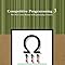 Competitive Programming 3: Steven Halim: Amazon.com: Books