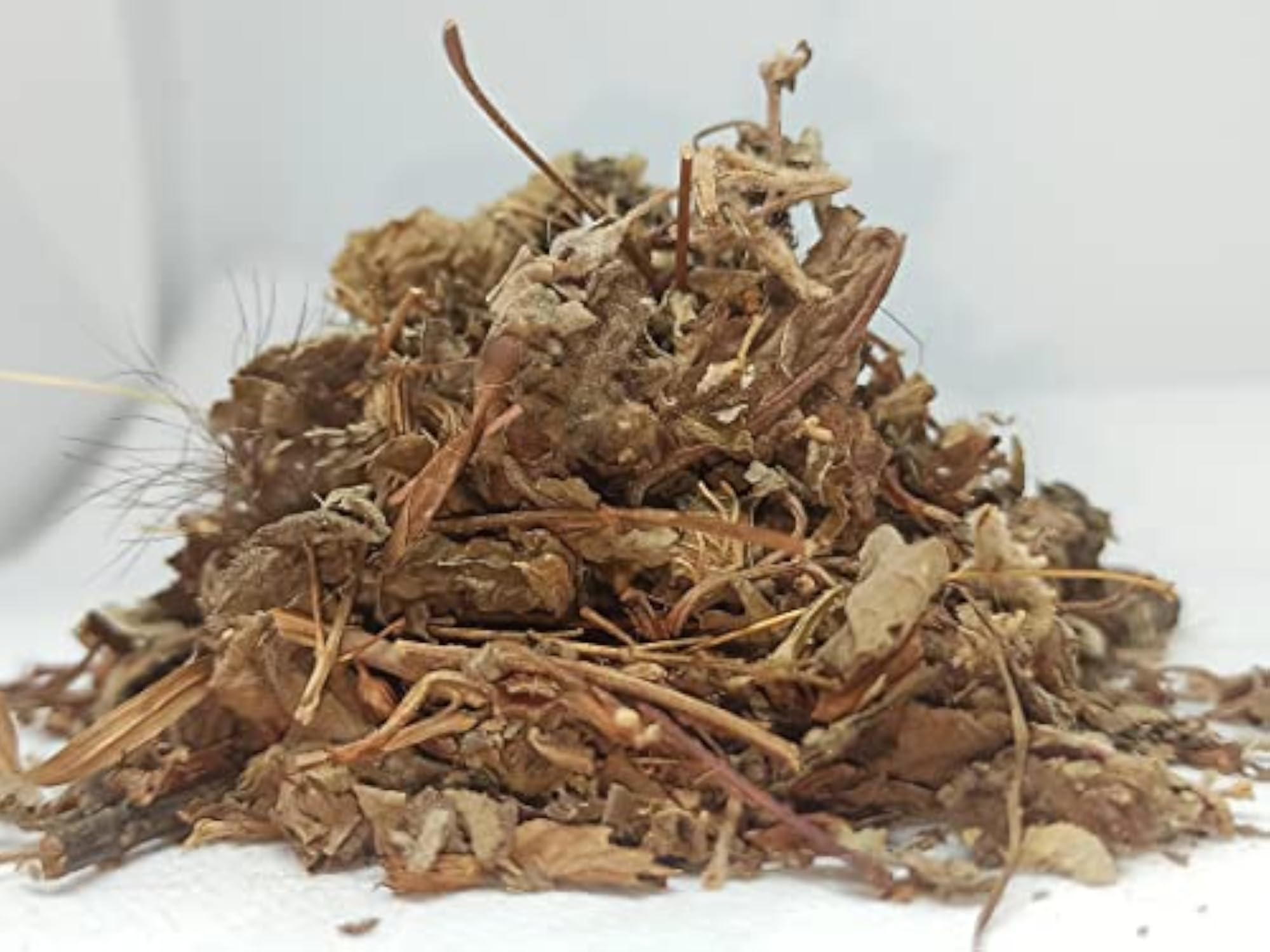 Naturalife's Thiruneetru Pachilai, Sweet Basil, Ayurvedic Herb