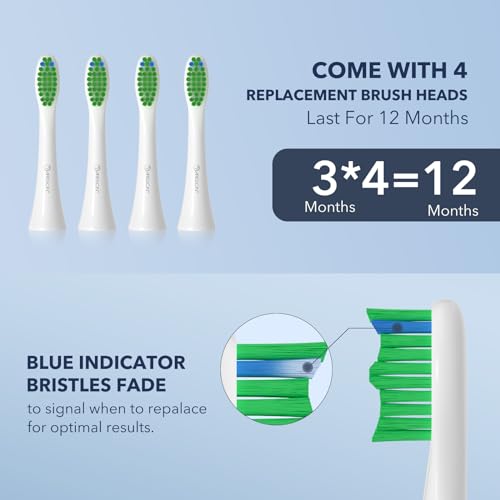 Image of ARISSON Electric Toothbrush for Adults and Teen, Travel Sonic Toothbrush with 4 Duponts Brush Heads, 1.5H Fast Charge for 90 Days, 40,000 VPM Rechargeable Toothbrushes, White on Baby Pink