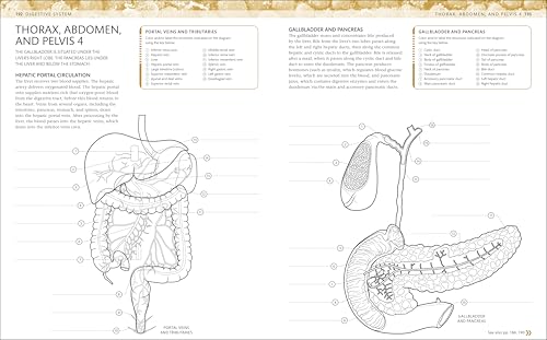 The Human Body Coloring Book: The Ultimate Anatomy Study Guide, Second Edition (DK Human Body Guides) - Image 8