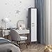 STANI Metal Locker, Metal Lockers for Employees with Lock, Storage Locker with Lock, Storage Locker Cabinet for Home, Tall Steel Storage Locker for Gym, School, Office