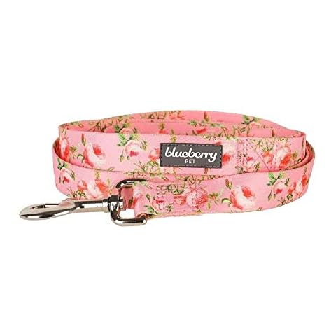Blueberry Pet Spring Floral Dog Lead Cover