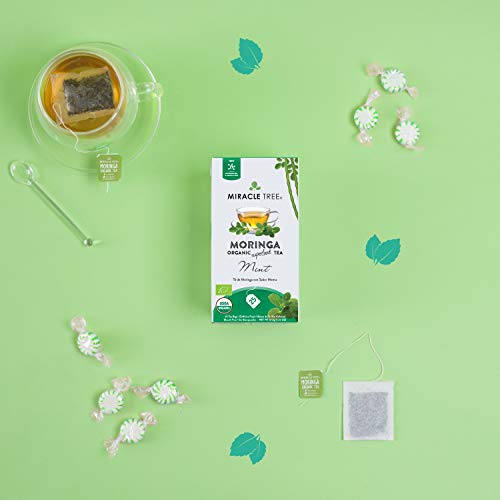 Miracle Tree - Organic Moringa Superfood Tea, 5 Pack Bundle, 5X25 Individually Sealed Tea Bags (Mango, Earl Grey, Mint, Apple & Cinnamon, Honey & Vanilla) #TOP3