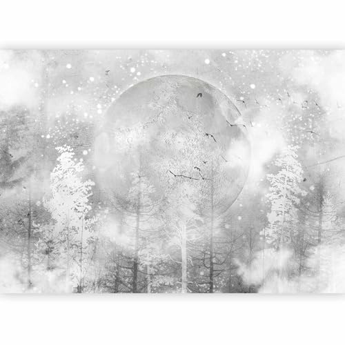 murando Fotomurales autoadhesivo Bosque 343x256 cm Papel Pintado Decoración de Pared Murales Pegatina decorativos adhesivos 3d Fotográfico Luna Noche Árboles Pájaros gris c-C-10000-a-a
