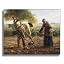 The potato growers