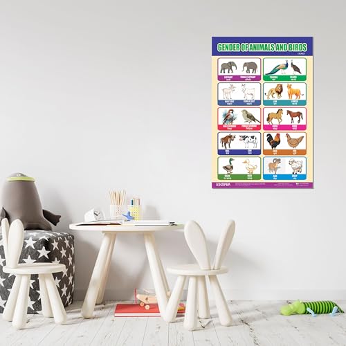 Image of ESCAPER Gender of Animals & Birds Educational Charts for Kids, (11.5 x 17.5 inches), Kids Study Material, Learning Chart, Perfect For Home Schooling, Nursery Students