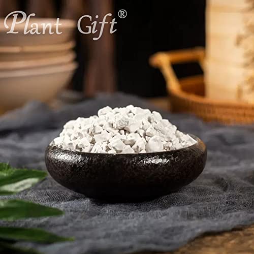 Plant Gift 100% Sweet Potato Powder 100G/3.25oz 红薯粉, Non-GMO, kein Füllstoff, keine Zusatzstoffe, natürliche Süßkartoffel-Mehl, bester Geschmack zum Backen, verleiht Geschmack und Aroma.