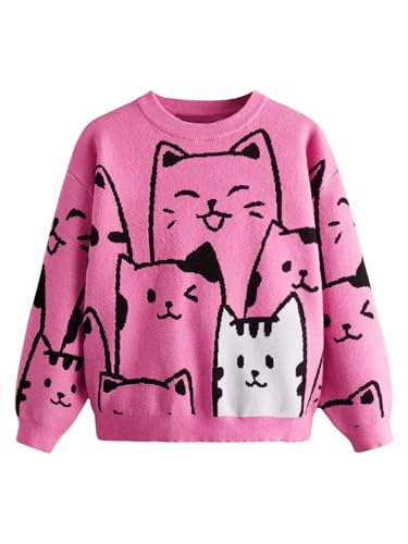 SweatyRocks Girl's Cute Graphic Sweater Colorblock Crewneck Long Sleeve Knit Tops Pullovers