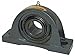 Pillow Block Bearing, Ball, 2-7/16" Bore