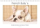 french bully welpen schweiz Autor(in): Sugarsweet - Photo French Bully´s - Große Schätze auf kleinen Pfoten (Tischkalender 2020 DIN A5 quer)