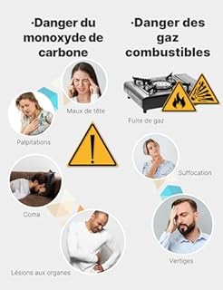 Détecteur de Monoxyde de Carbone et Gaz avec Prise - Détecteur CO 4-en-1 avec Capteur de Température & Humidité - Alarme Sonore pour GPL, Propane, Méthane, Éthane & CO - pour Maison et Caravane​