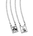 Our Lady of Mount Carmel & Sacred Heart of Jesus Christ Black and White Stainless Steel Scapular Necklace - 13.5 Inch